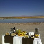 Mid morning snack for the bathers!