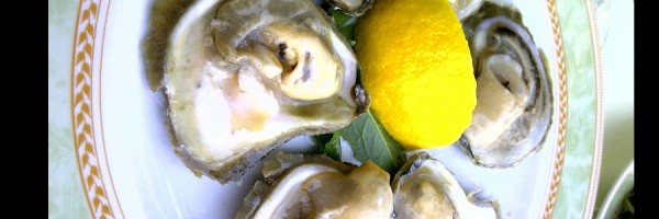 feature_oysters