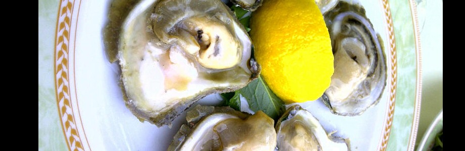 Dubrovnik feature_oysters