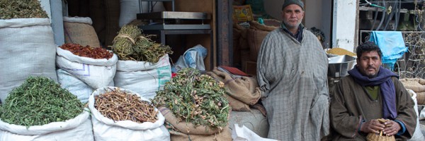Feature_India012013_blog6